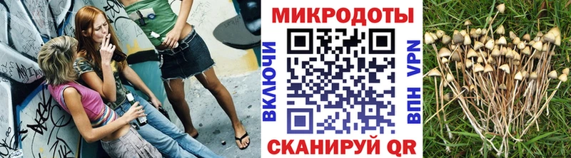 Галлюциногенные грибы Psilocybe  продажа наркотиков  Приволжск 